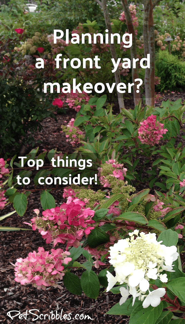 Planning a front yard makeover? Top things to consider, to get your dream yard!