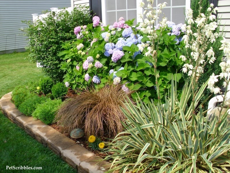 How to plan your dream front yard! (And how we went grass free!)