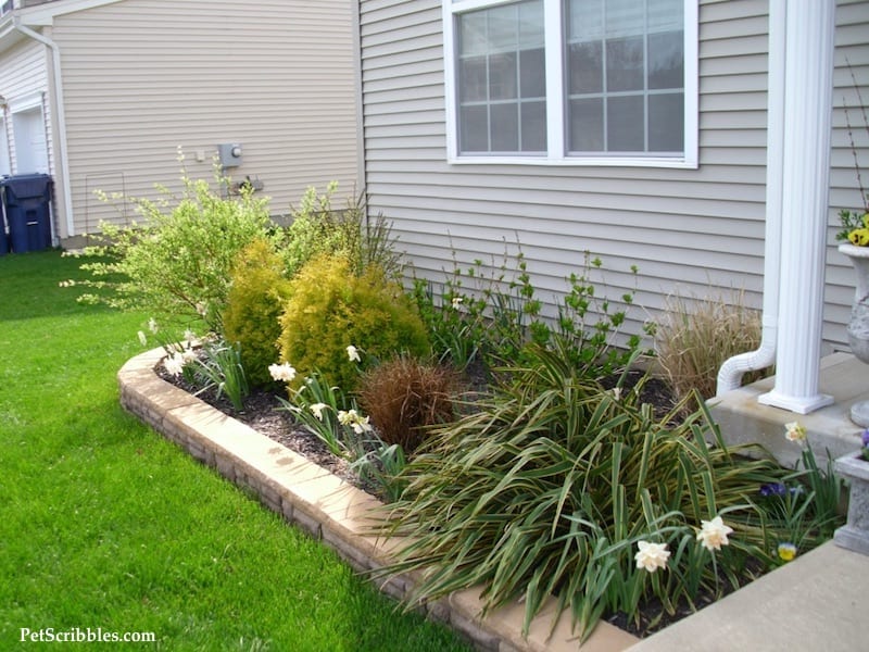 How to plan your dream front yard! (And how we went grass free!)
