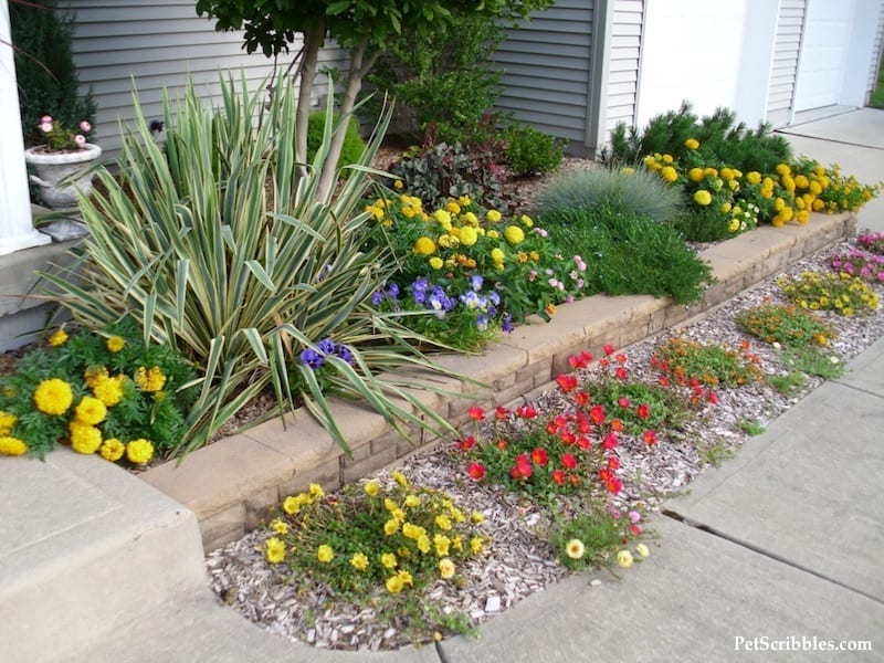 How to plan your dream front yard! (And how we went grass free!)