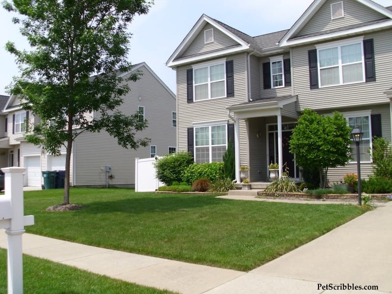 How to plan your dream front yard! (And how we went grass free!)