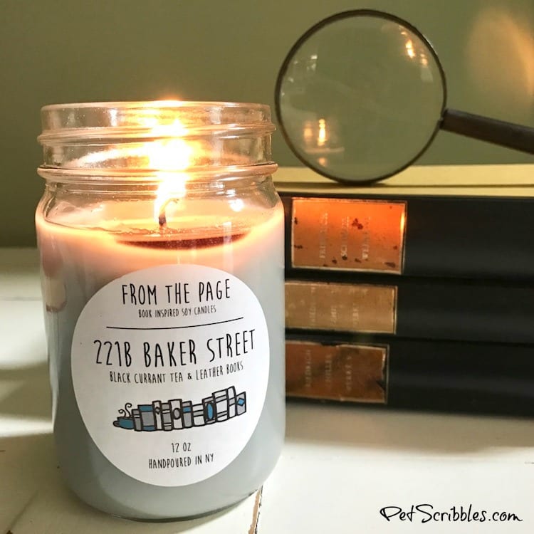 These Literary Candles are Literally Amazing!