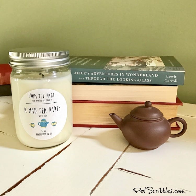 These Literary Candles are Literally Amazing!