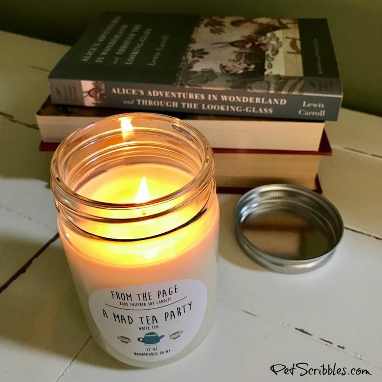 These Literary Candles are Literally Amazing!