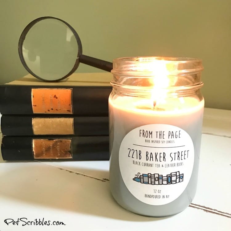 These Literary Candles are Literally Amazing!