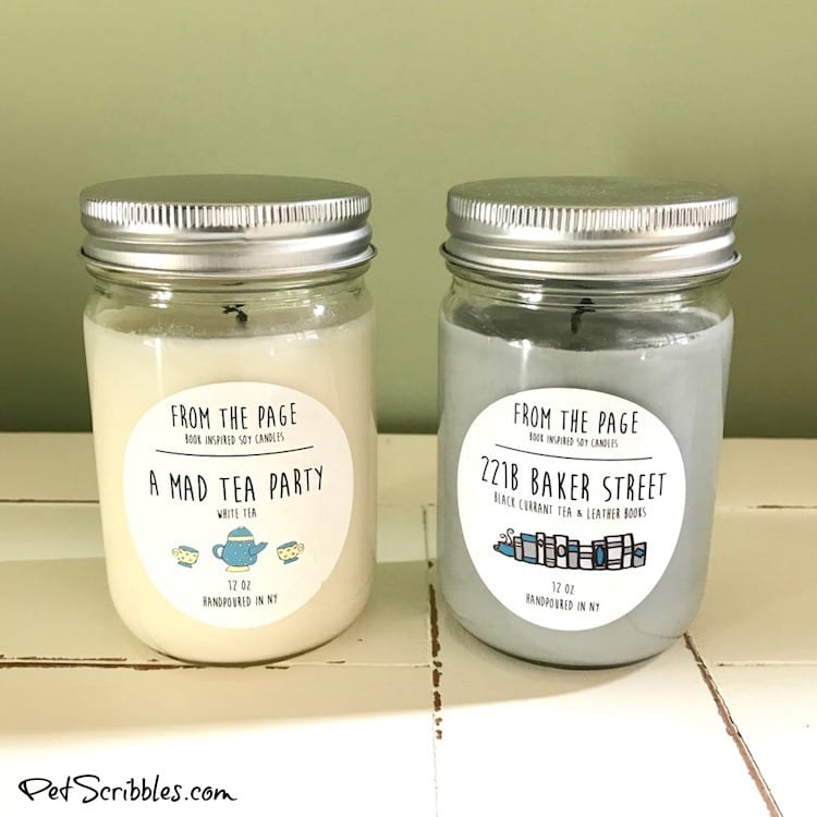 These Literary Candles are Literally Amazing!