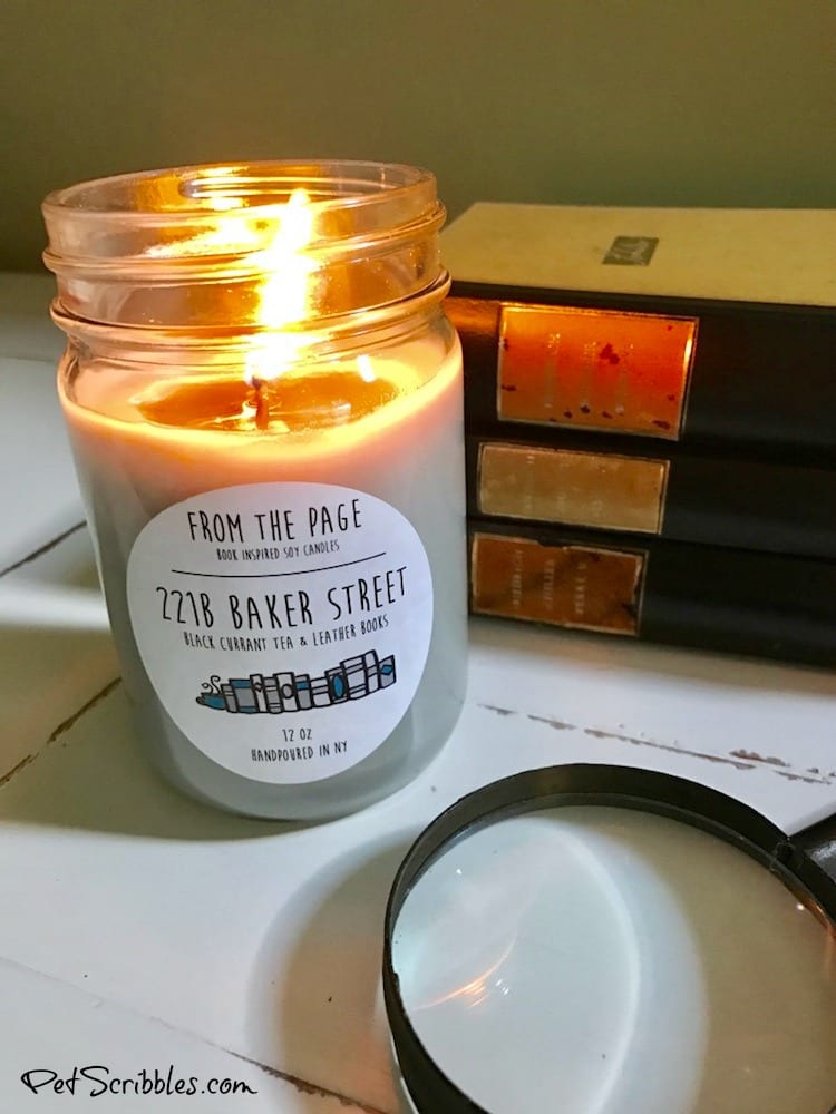 These Literary Candles are Literally Amazing!