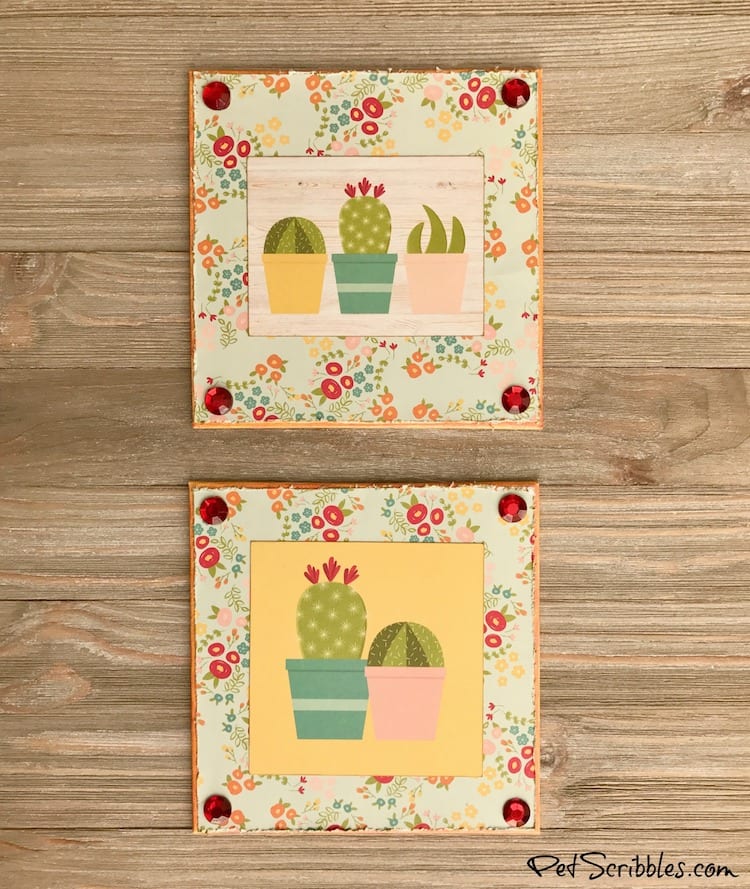 How to create Summer Succulent Cactus Shelf Art