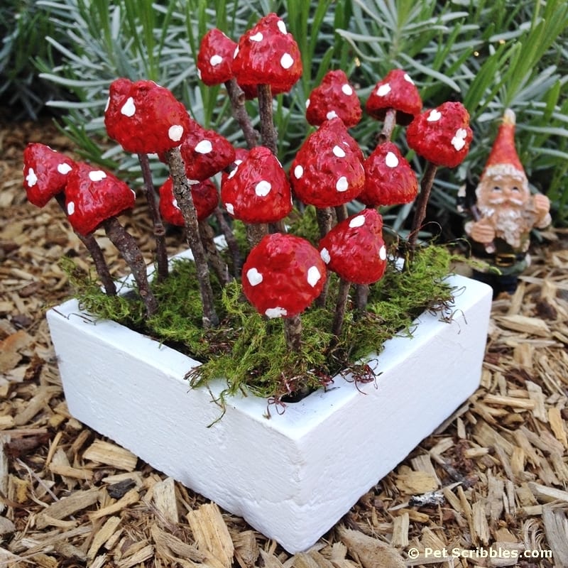 DIY fairy garden mushrooms with acorn caps