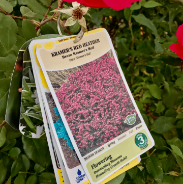 The best plant tag solution to keep your tags easily available when you need them! As a gardener I love this!