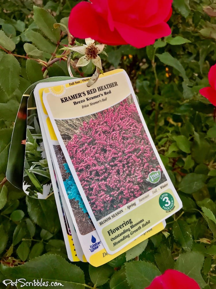 The best plant tag solution to keep your tags easily available when you need them! As a gardener I love this!