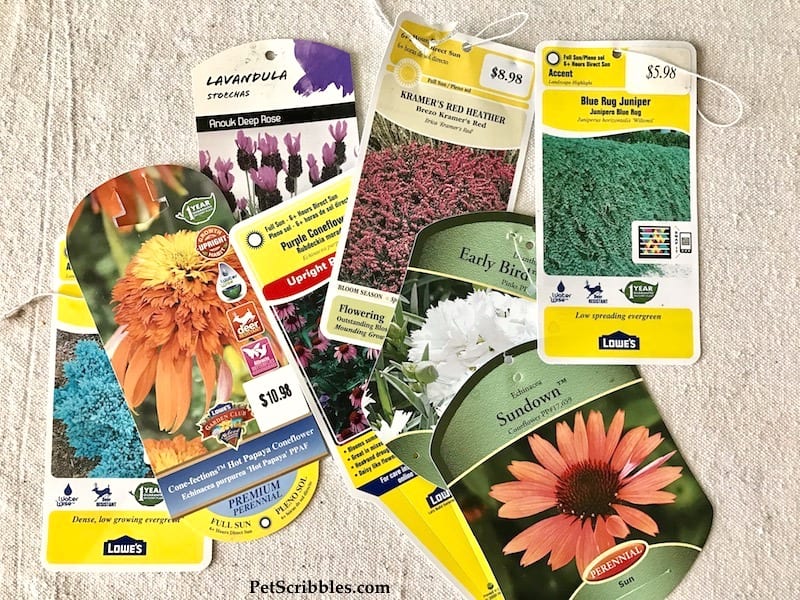 The best plant tag solution to keep your tags easily available when you need them! As a gardener I love this!