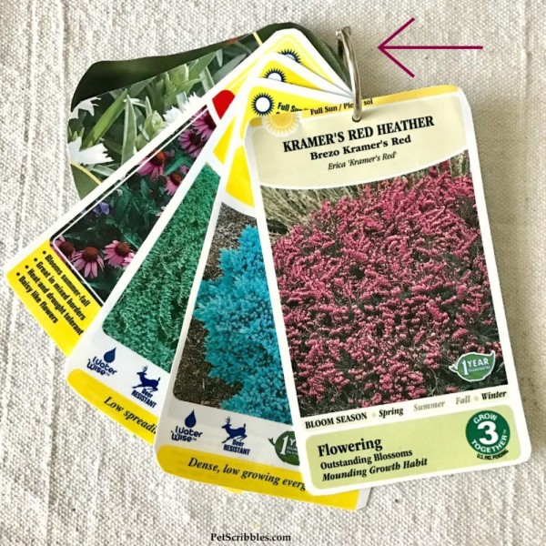 The Best Plant Tag Solution! Garden Sanity by Pet Scribbles
