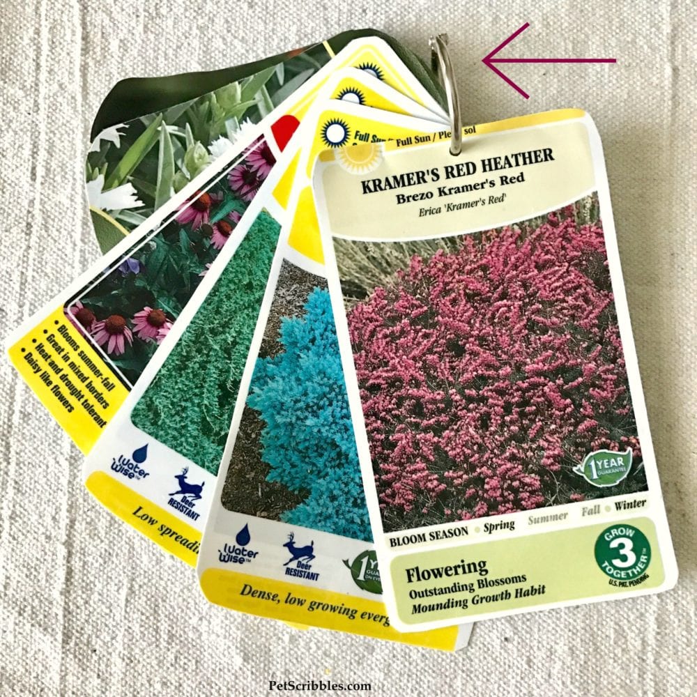 The best plant tag solution to keep your tags easily available when you need them! As a gardener I love this!