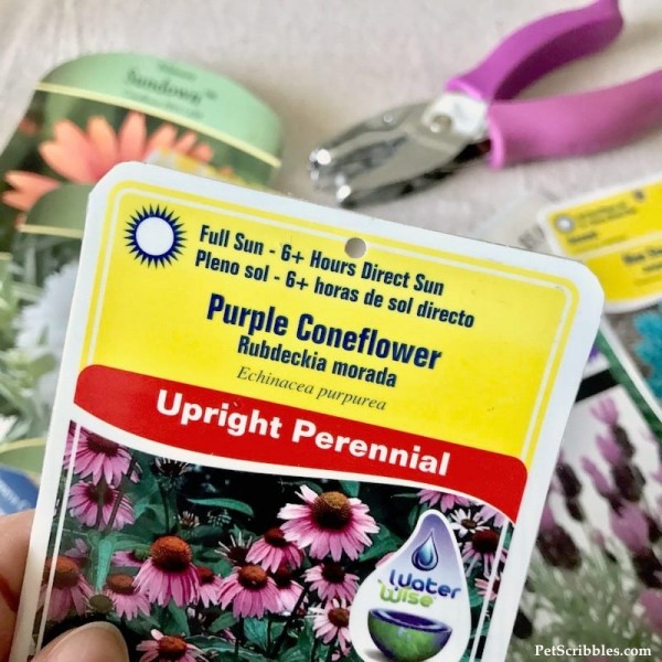 The Best Plant Tag Solution! Garden Sanity by Pet Scribbles