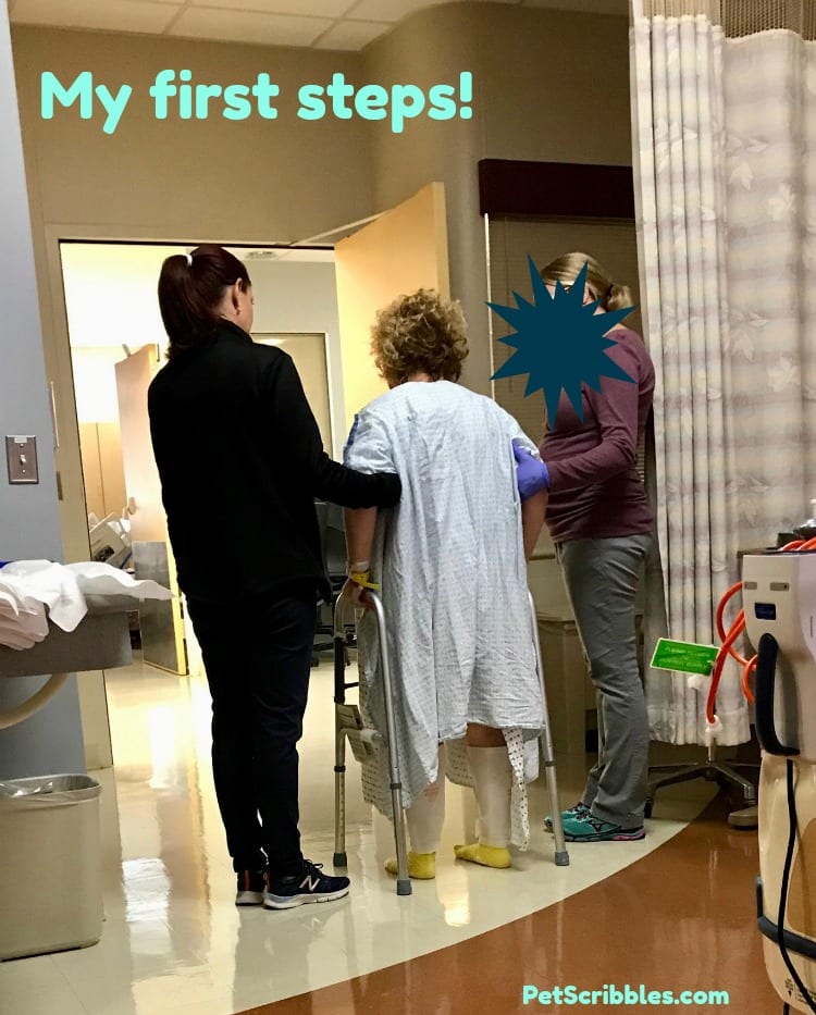 first steps post surgery