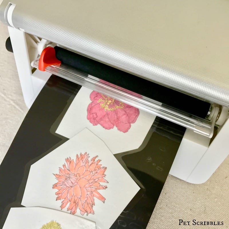 How to make and color your own flower magnets!