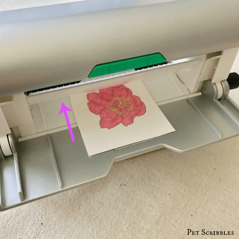 How to make and color your own flower magnets!