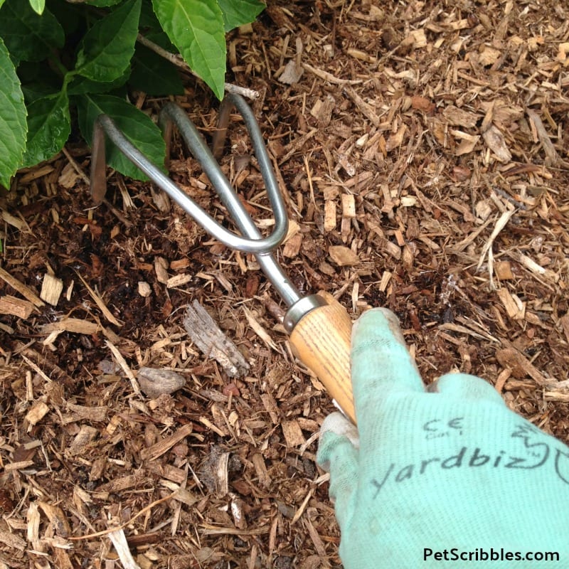 How to easily get rid of earthworm holes in garden mulch