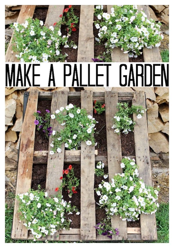 pallet-garden
