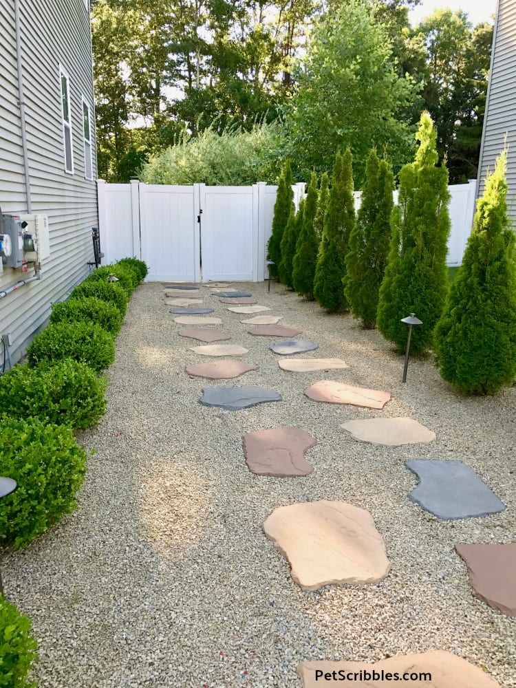 Side Yard Makeover: easy care and attractive!