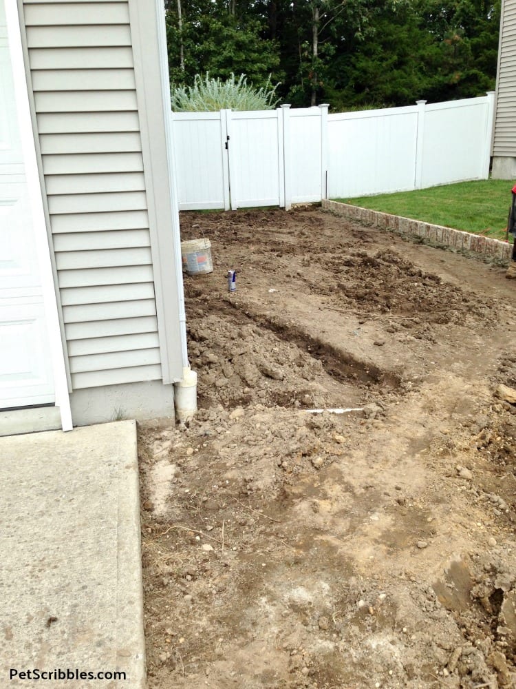 grass removed from side yard