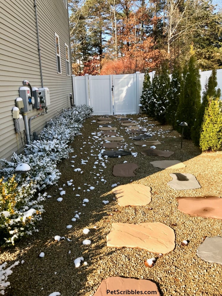 side yard in Winter