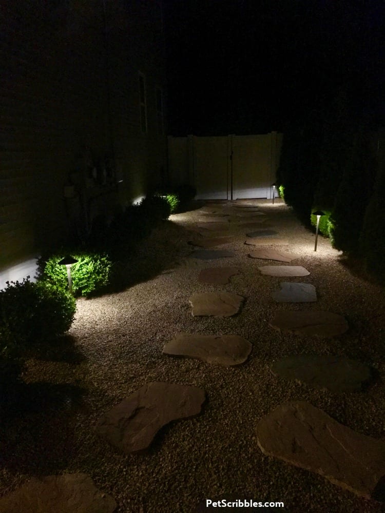 side yard lighting idea