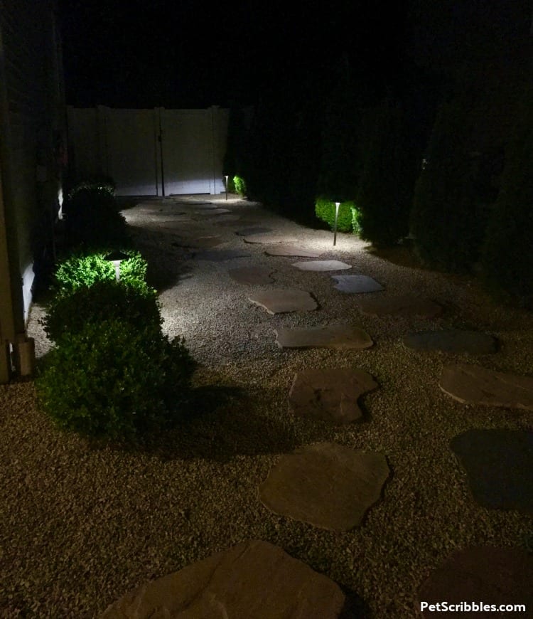 side yard makeover at night