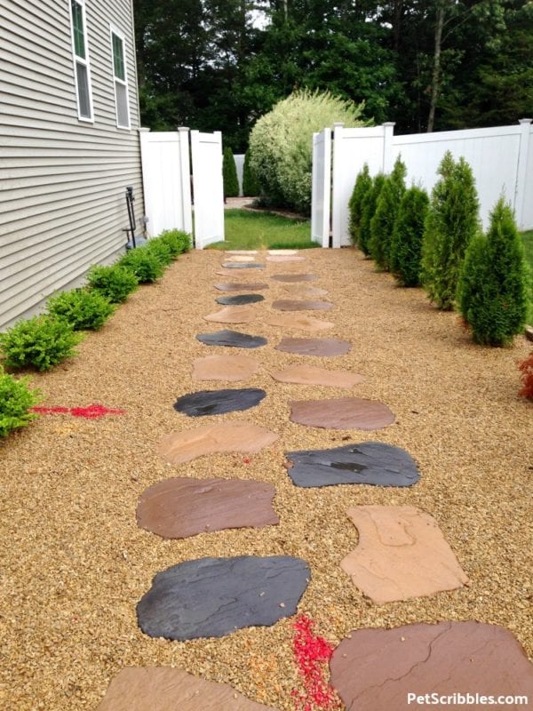Side Yard Makeover: Easy Care and Attractive - Pet Scribbles