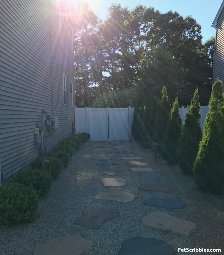 side yard makeover during sunset