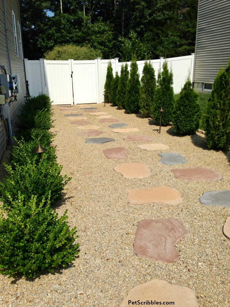 sunny side yard makeover