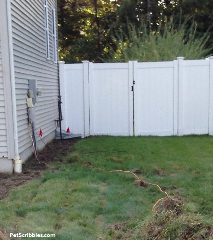 typical grass side yard