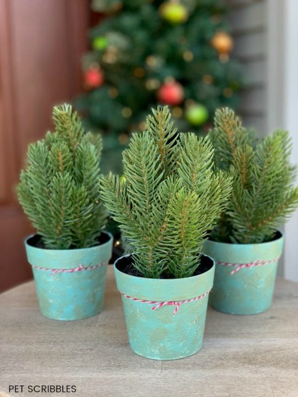 Chalk Paint on Plastic Pots - an amazing makeover!