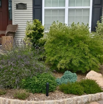 Evolution of a Garden Bed - Front Entrance