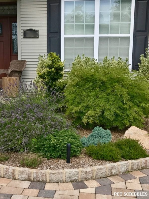 Evolution of a Garden Bed - Front Entrance