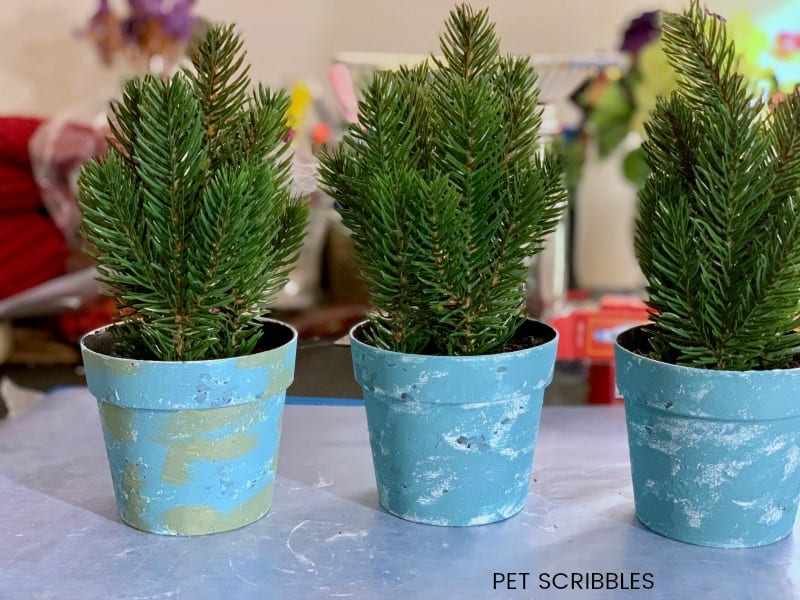 adding green chalk paint to plastic pots over blue and white paint