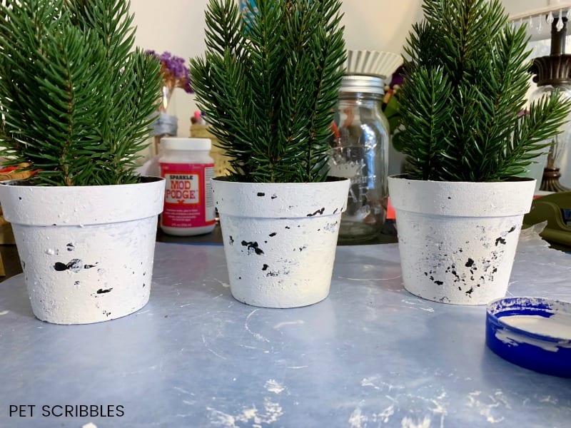 3 plastic pots with white chalk paint on them