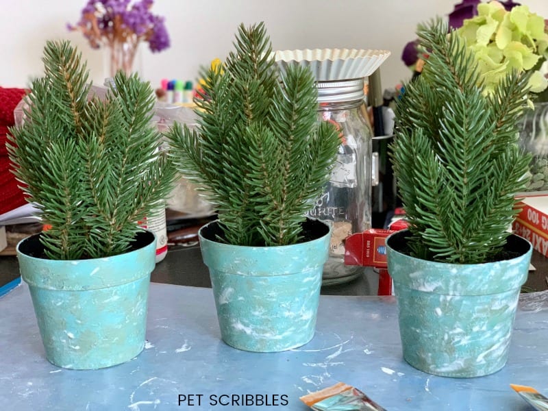 seal painted plastic pots with Mod Podge