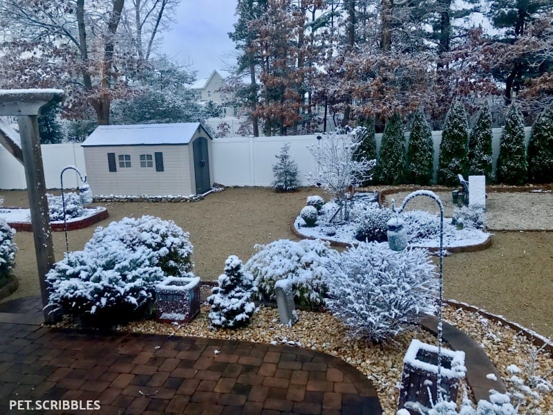 Pretty Backyard in Winter