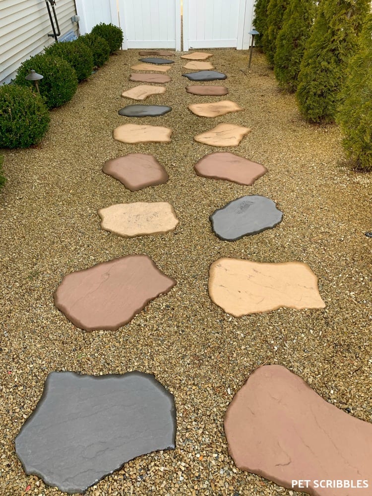 Stepping stone garden path after it rains