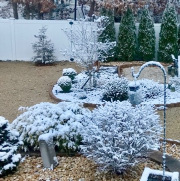 Winter stillness in the garden