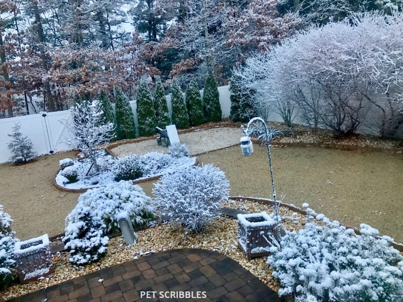 beautiful Winter garden with snow