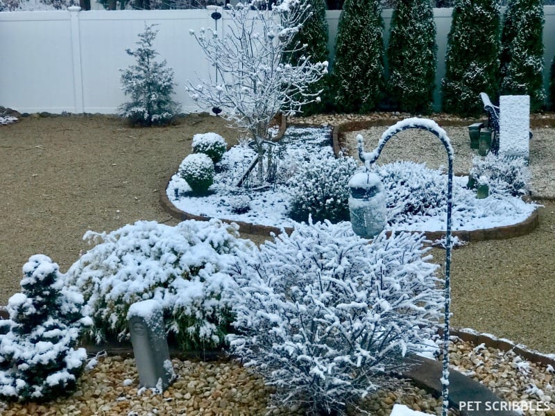 enchanting Winter garden with snow