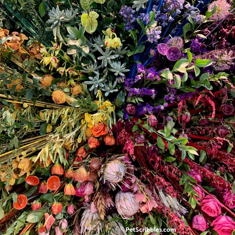 2019 Philadelphia Flower Show Theme Flower Power