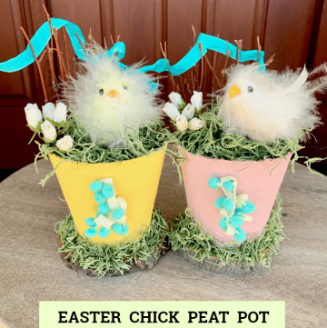 Easter Chick Peat Pot Decorations