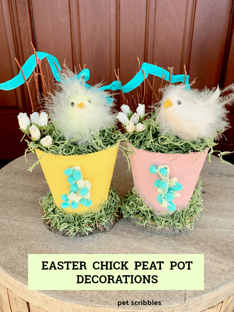 Easter Chick Peat Pot Decorations