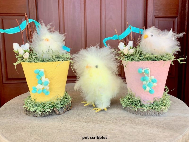 Easter Chick Peat Pots