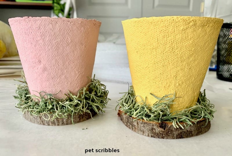 Easter peat pots with Spanish moss around base