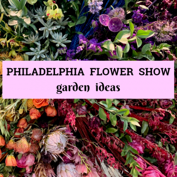 Philadelphia Flower Show photos filled with garden ideas and inspiration, from the 2019 show titled Flower Power!